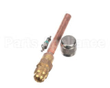 04.ZZ0003.001 Grindmaster Cecilware Complete Valve With Core And Cap Spm