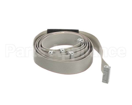 04000363 Nuova Simonelli Ribbon Cable Aurelia 3Gr