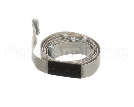 04000363 Nuova Simonelli Ribbon Cable Aurelia 3Gr