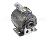 04500034 Nuova Simonelli Motor, 220V, Aurelia, Mac, Pro