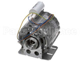 04500034 Nuova Simonelli Motor, 220V, Aurelia, Mac, Pro