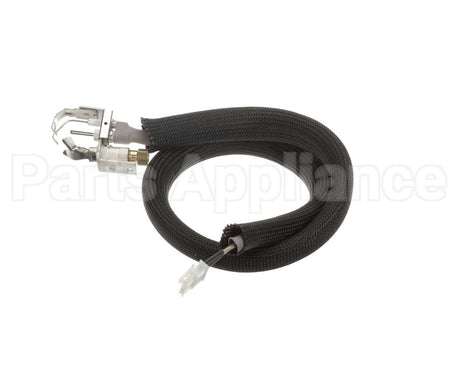 0455946 Legion Pilot Burner Ignitor Sensor