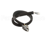 0455946 Legion Pilot Burner Ignitor Sensor