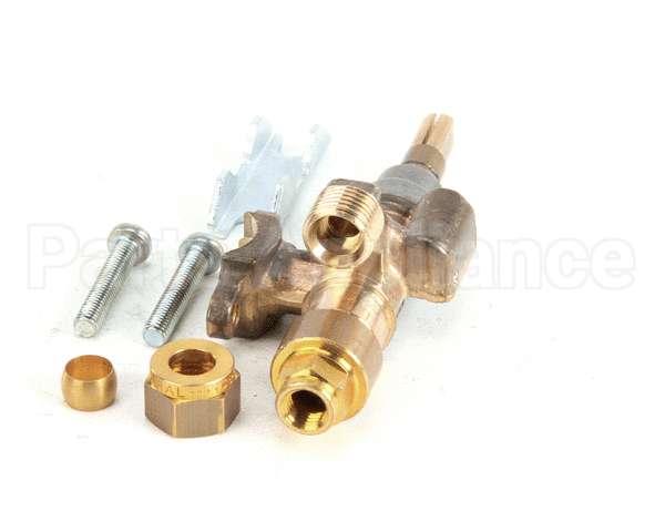 050000056 Visvardis Gas Valve