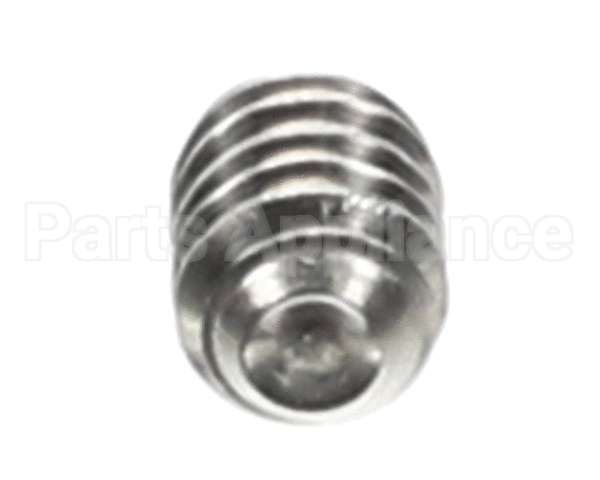 0501395 Champion - Moyer Diebel Screw, Socket 1/4-20X5/16 Ss