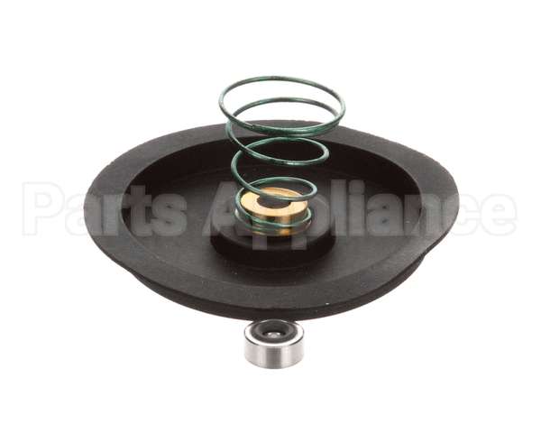 0502730 Champion - Moyer Diebel Kit, Seal C/W Spring
