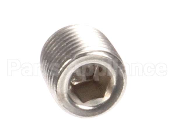 0508817 Champion - Moyer Diebel Plug, 1/8 Hex Countersunk Stai