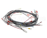 0512538-1 Champion - Moyer Diebel Harness, Wiring Dfm7.5