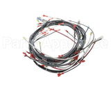 0512538-1 Champion - Moyer Diebel Harness, Wiring Dfm7.5