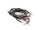 0513576 Champion - Moyer Diebel Harness, Wiring Hr M4 U/C