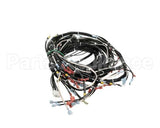 0513576 Champion - Moyer Diebel Harness, Wiring Hr M4 U/C