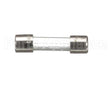 0513795 Champion - Moyer Diebel Fuse, 0.063A Sloblow 250Vac