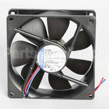 055002-000 Vikingfan, Large, Ar 30/36