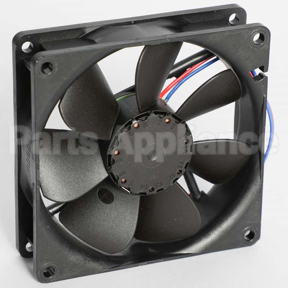 055002-000 Vikingfan, Large, Ar 30/36