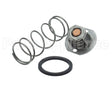 062234B Raypak Unitherm Governor