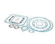 06EA660071 Carrier Gasket Package
