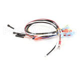 0700547 Antunes Wire Set (Tmr)