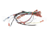 0700807 Antunes Wire Harness