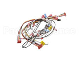0700914 Antunes Wire Set, Hct Horz Contact Toa
