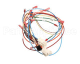 0700926 Antunes Wire Set Control Board