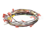 0700931 Antunes Wire Set, Cfa Ir Toaster