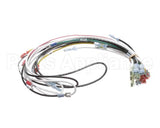 0700938 Antunes Wire Harness 48 Cinnibon
