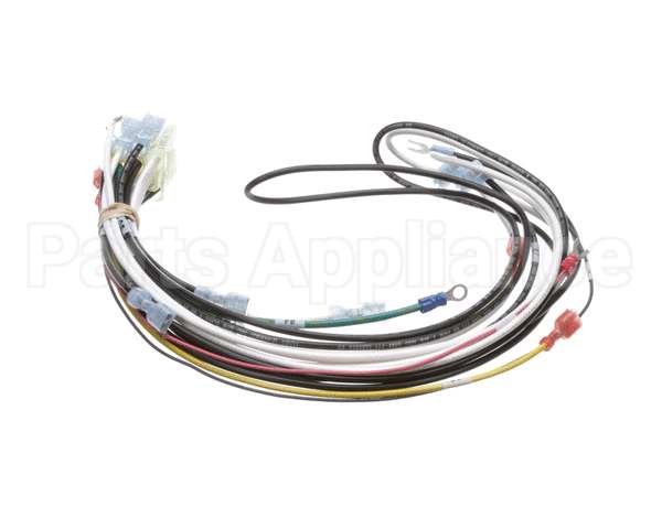 0700938 Antunes Wire Harness 48 Cinnibon