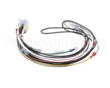 0700938 Antunes Wire Harness 48 Cinnibon