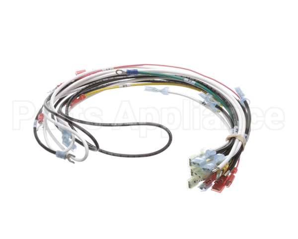 0700938 Antunes Wire Harness 48 Cinnibon