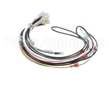 0700938 Antunes Wire Harness 48 Cinnibon