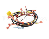 0700975 Antunes Wire Set, Dual Eggstation