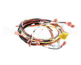 0700975 Antunes Wire Set, Dual Eggstation