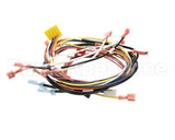 0700975 Antunes Wire Set, Dual Eggstation