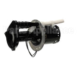 07097.0008 Bunn Pump Motor Kit, 240V 50Hz