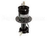 07097.7002 Bunn Bunn-O-Matic Pump Assy Complete 120V(60H