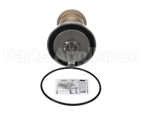 0794102 Watts 2Nd Check Rpr Kit 909 4" Ldfre