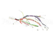 08.CC0004115 Grindmaster Cecilware Lola Wiring Harness