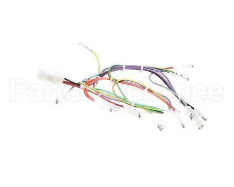 08.CC0004115 Grindmaster Cecilware Lola Wiring Harness