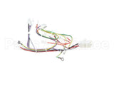 08.CC0004115 Grindmaster Cecilware Lola Wiring Harness