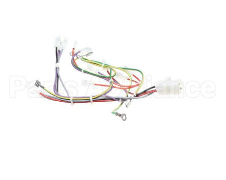 08.CC0004115 Grindmaster Cecilware Lola Wiring Harness