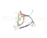08.CC0004115 Grindmaster Cecilware Lola Wiring Harness