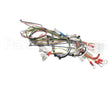 08.GC0009.001 Grindmaster Cecilware Wiring