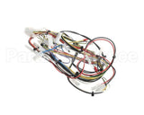 08.GC0009.001 Grindmaster Cecilware Wiring