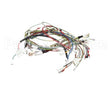 08.HU0013115 Grindmaster Cecilware Karma 11560 Harness