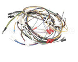 08.IP0017115 Grindmaster Cecilware Wiring