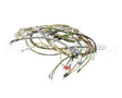 08.KE0001115 Grindmaster Cecilware Ksoft 11560 Main Harness