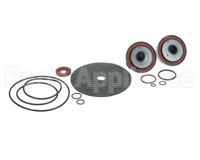 0887309 Watts Repair Kit 009M2 Rt11/411