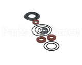 0888141 Watts Rubber Parts Kit 919Qt 3/4"