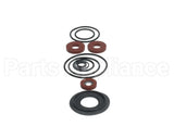 0888141 Watts Rubber Parts Kit 919Qt 3/4"