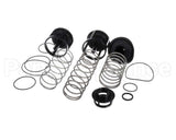 0888171 Watts Rk919T-2 Repair Kit